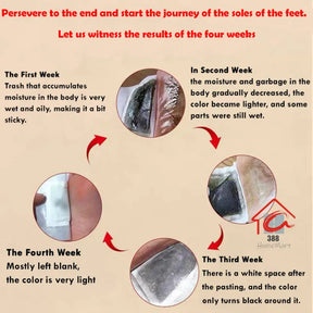 Gentle Herbal Detox Foot Pad🦶🌿Buy 10 Get 10 Free🎁 (Pack of 20)@499rs
